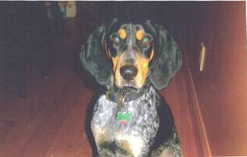 Beauregard1