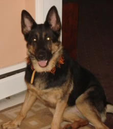 Gretchen