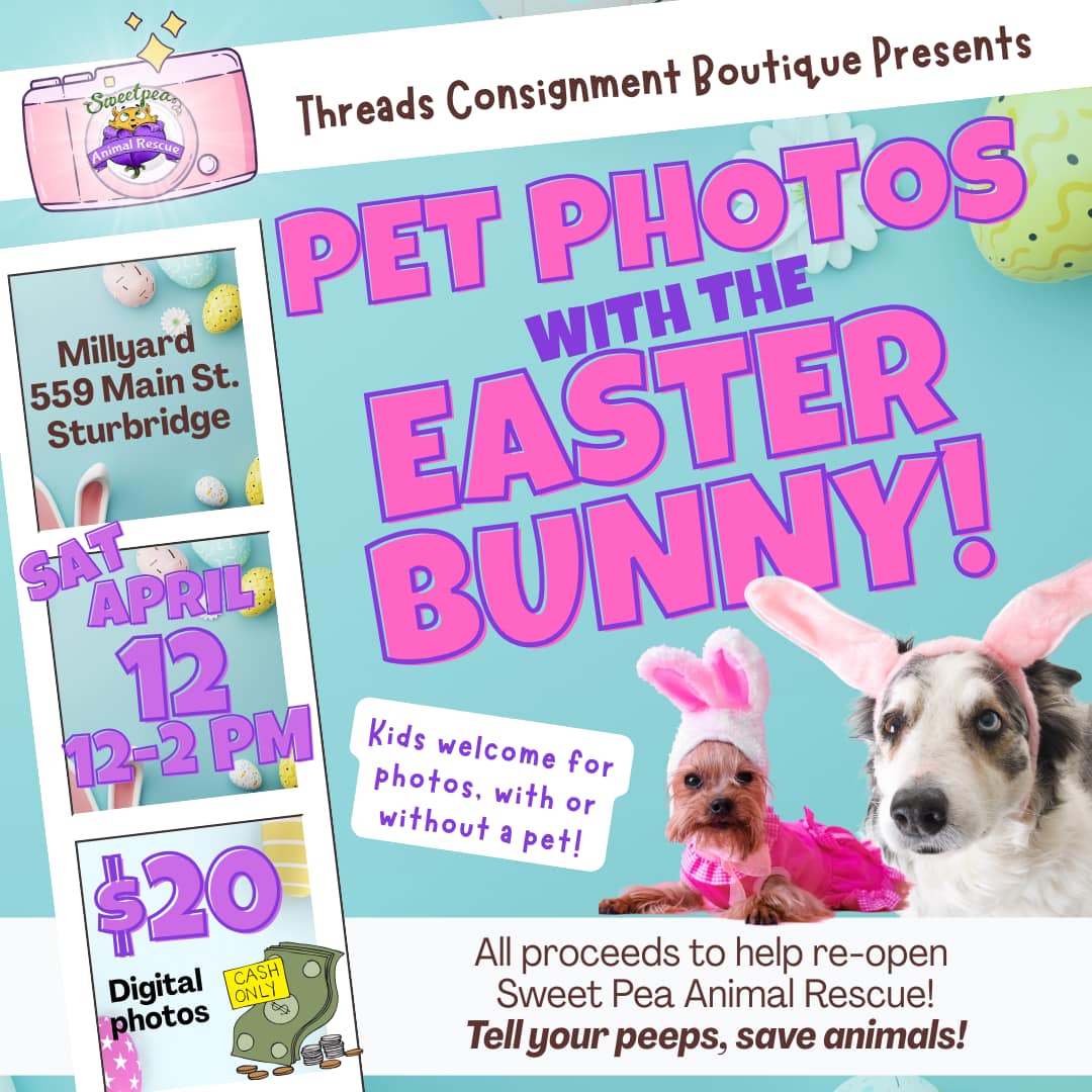 Pet photos with Easter Bunny flyer