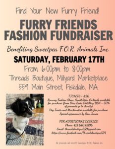 Furry Friends Fashion Show