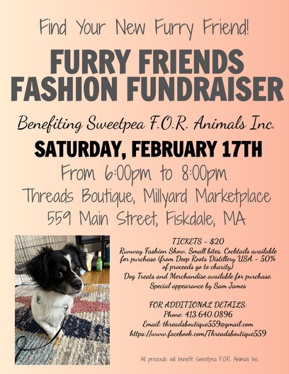 Furry Friends Fashion Show